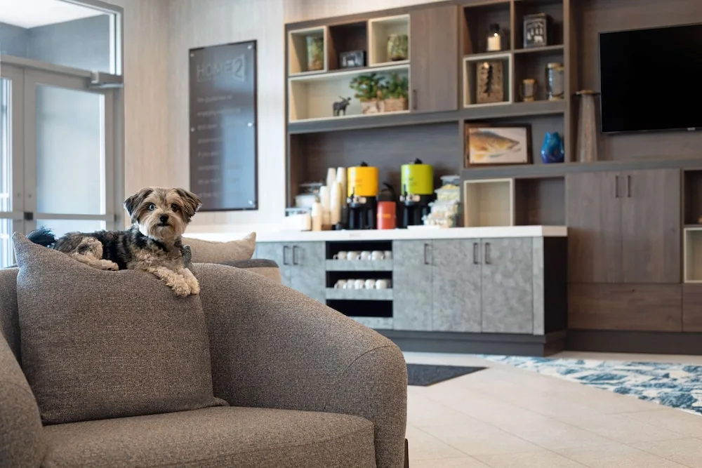 Home2 Suites by Hilton Huntsville in Huntsville, Canada - photo 3