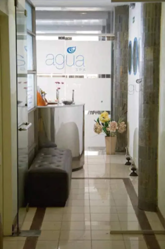 San Martin Hotel And Spa in San Rafael, Argentina - photo 5