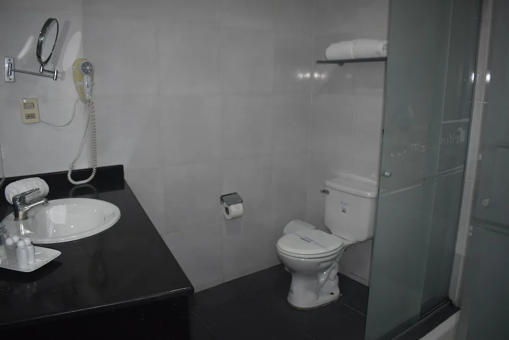 Apart Hotel Los Delfines in LA PAZ, BOLIVIA - photo 3